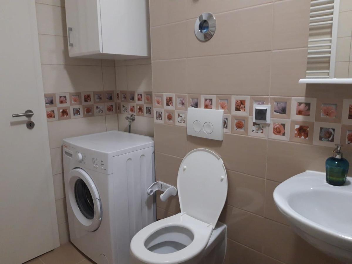 Elissa Apartment براشوف المظهر الخارجي الصورة